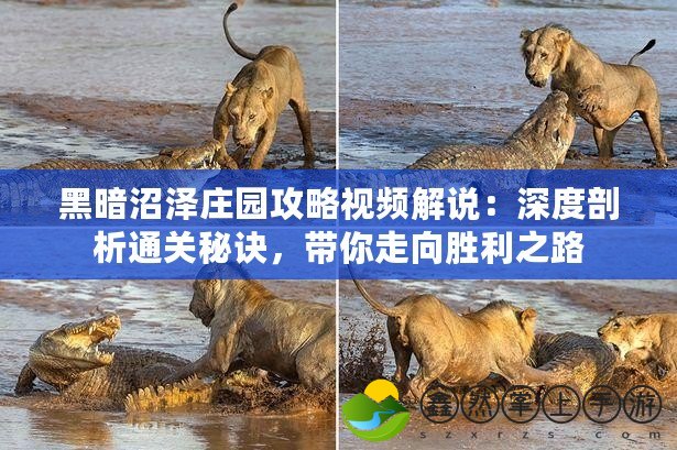 黑暗沼澤莊園攻略視頻解說：深度剖析通關(guān)秘訣，帶你走向勝利之路